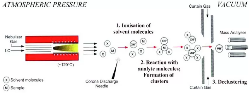 Atmospheric pressure chemical ionisation mechanism (Dubey 2020)